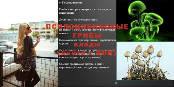 apvp Волосово