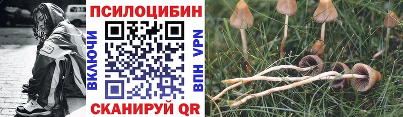 Купить закладки  Рассказово  Псилоцибиновые грибы Psilocybine cubensis 