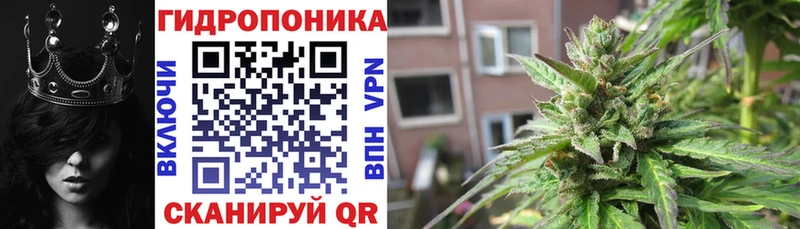 Марихуана OG Kush  Купить где  Рассказово 
